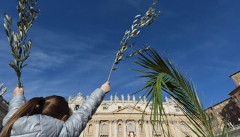 LA Domenica delle Palme e il coraggio di Papa Francesco. “Acqua alle funi” della misericordia.