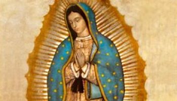 Maria di Guadalupe è la Madonna della “interculturalità” e del “rispetto agli anziani”.